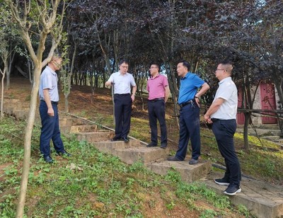 省林業(yè)局副局長傅強一行赴施秉縣指導國儲林及林下經(jīng)濟建設與林業(yè)產品銷售工作