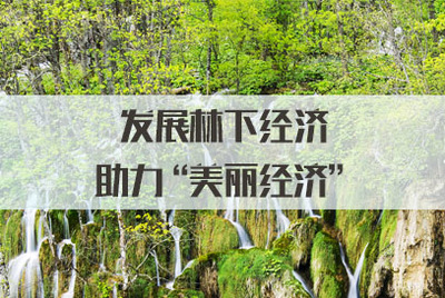 發(fā)展林下經(jīng)濟，拓展銷售渠道，讓‘美麗經(jīng)濟’更富生機